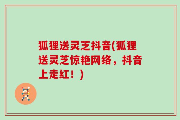 狐狸送灵芝抖音(狐狸送灵芝惊艳网络,抖音上走红!) 狐狸送灵芝抖音(狐狸送灵芝惊艳网络,抖音上走红!)
