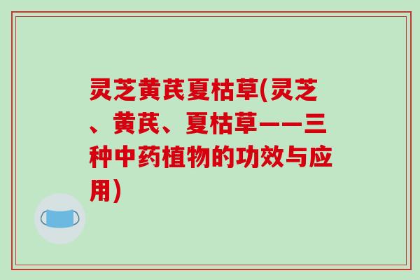 灵芝黄芪夏枯草(灵芝、黄芪、夏枯草——三种植物的功效与应用) 灵芝黄芪夏枯草(灵芝、黄芪、夏枯草——三种植物的功效与应用)