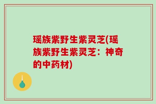 瑶族紫野生紫灵芝(瑶族紫野生紫灵芝:神奇的材) 瑶族紫野生紫灵芝(瑶族紫野生紫灵芝:神奇的材)