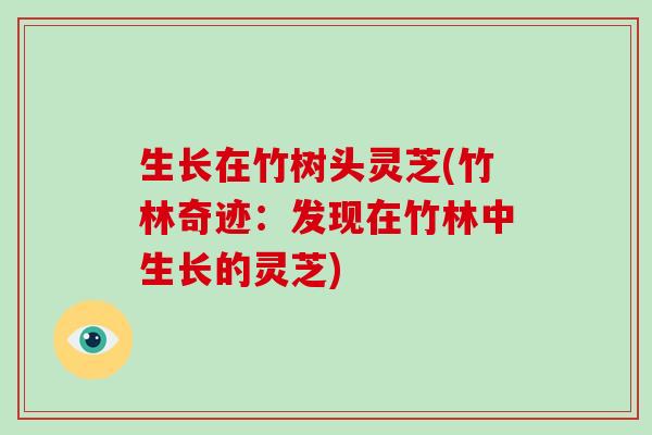 生长在竹树头灵芝(竹林奇迹:发现在竹林中生长的灵芝) 生长在竹树头灵芝(竹林奇迹:发现在竹林中生长的灵芝)