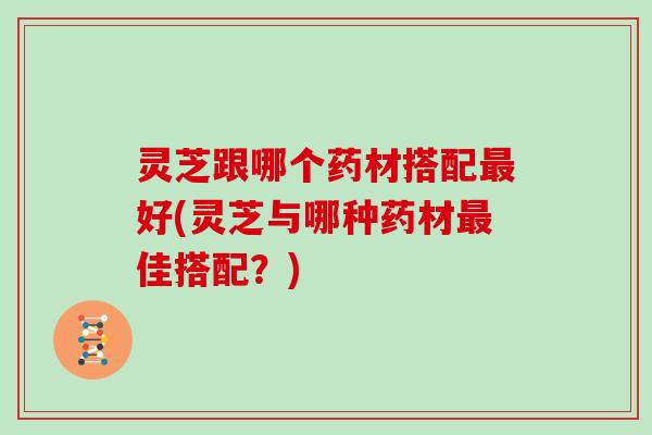 灵芝跟哪个药材搭配好(灵芝与哪种药材佳搭配?) 灵芝跟哪个药材搭配好(灵芝与哪种药材佳搭配?)