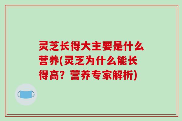 灵芝长得大主要是什么营养(灵芝为什么能长得高?营养专家解析) 灵芝长得大主要是什么营养(灵芝为什么能长得高?营养专家解析)