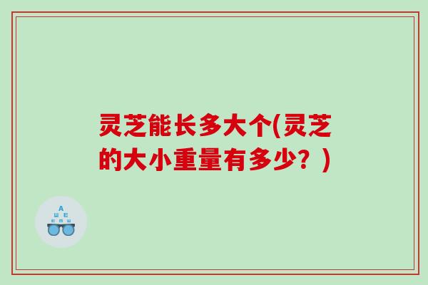 灵芝能长多大个(灵芝的大小重量有多少?) 灵芝能长多大个(灵芝的大小重量有多少?)