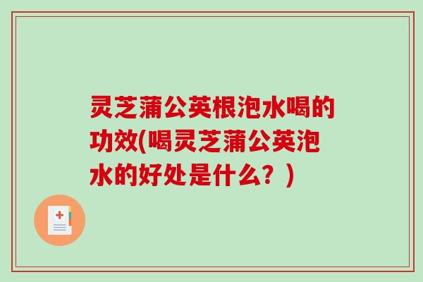 灵芝蒲公英根泡水喝的功效(喝灵芝蒲公英泡水的好处是什么?) 灵芝蒲公英根泡水喝的功效(喝灵芝蒲公英泡水的好处是什么?)