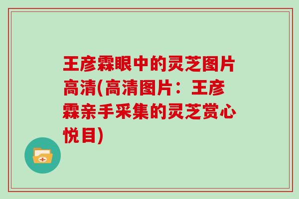 王彦霖眼中的灵芝图片高清(高清图片:王彦霖亲手采集的灵芝赏心悦目) 王彦霖眼中的灵芝图片高清(高清图片:王彦霖亲手采集的灵芝赏心悦目)