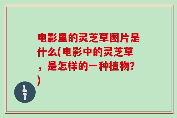 电影里的灵芝草图片是什么(电影中的灵芝草，是怎样的一种植物？)