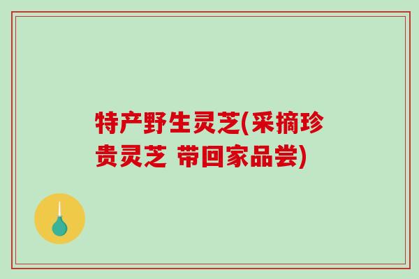 特产野生灵芝(采摘珍贵灵芝 带回家品尝) 特产野生灵芝(采摘珍贵灵芝 带回家品尝)