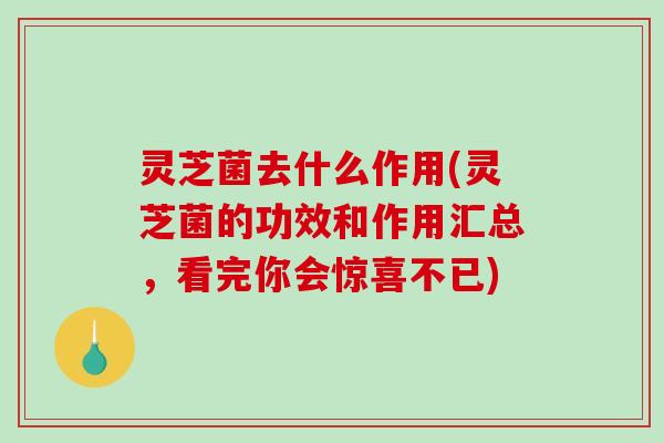 灵芝菌去什么作用(灵芝菌的功效和作用汇总,看完你会惊喜不已) 灵芝菌去什么作用(灵芝菌的功效和作用汇总,看完你会惊喜不已)