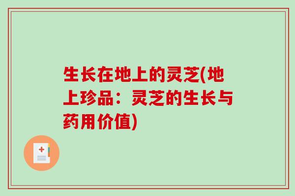 生长在地上的灵芝(地上珍品:灵芝的生长与药用价值) 生长在地上的灵芝(地上珍品:灵芝的生长与药用价值)