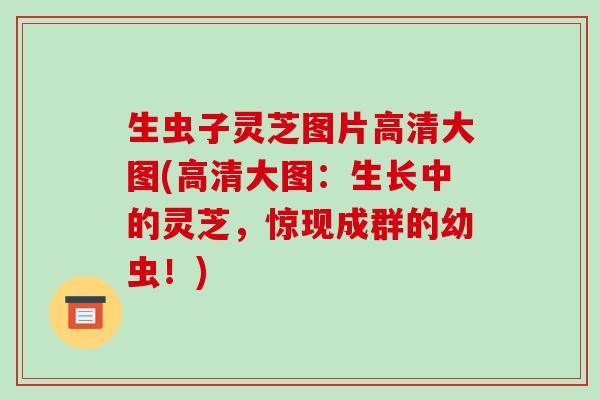 生虫子灵芝图片高清大图(高清大图:生长中的灵芝,惊现成群的幼虫!) 生虫子灵芝图片高清大图(高清大图:生长中的灵芝,惊现成群的幼虫!)