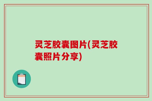 灵芝胶囊图片(灵芝胶囊照片分享) 灵芝胶囊图片(灵芝胶囊照片分享)