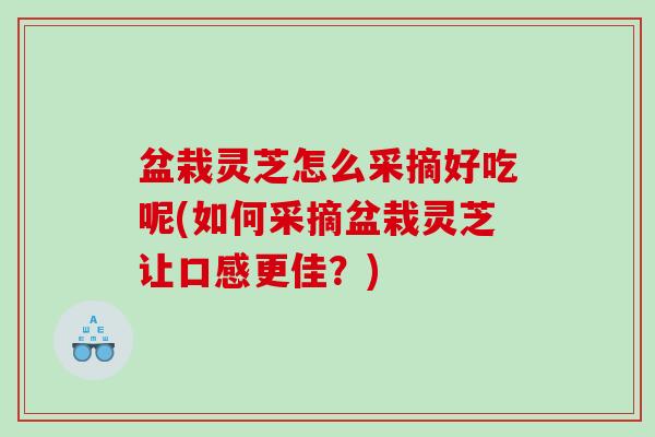 盆栽灵芝怎么采摘好吃呢(如何采摘盆栽灵芝让口感更佳?) 盆栽灵芝怎么采摘好吃呢(如何采摘盆栽灵芝让口感更佳?)