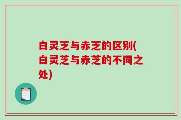 白灵芝与赤芝的区别(白灵芝与赤芝的不同之处)