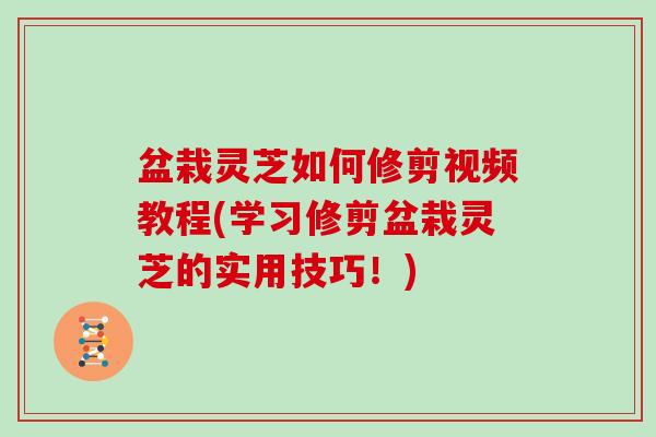 盆栽灵芝如何修剪视频教程(学习修剪盆栽灵芝的实用技巧!) 盆栽灵芝如何修剪视频教程(学习修剪盆栽灵芝的实用技巧!)