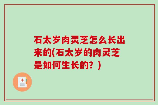 石太岁肉灵芝怎么长出来的(石太岁的肉灵芝是如何生长的？)