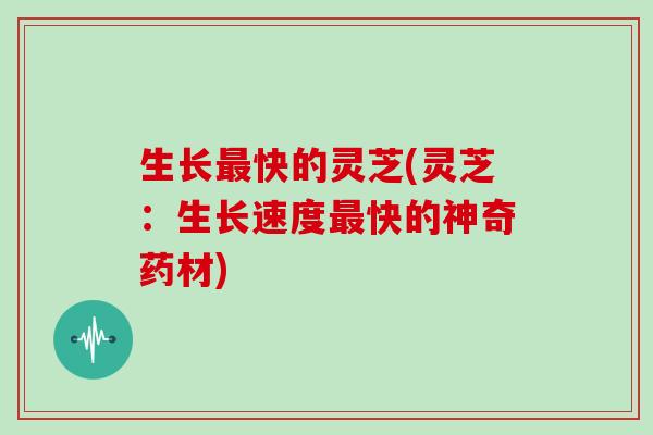 生长快的灵芝(灵芝:生长速度快的神奇药材) 生长快的灵芝(灵芝:生长速度快的神奇药材)