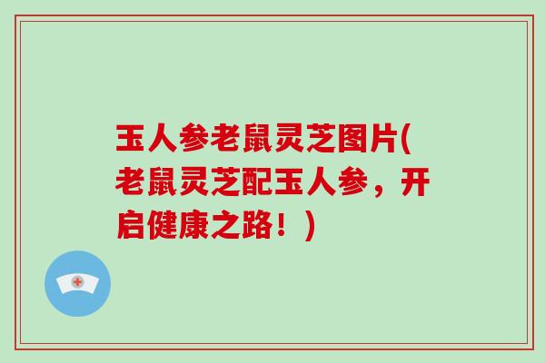 玉人参老鼠灵芝图片(老鼠灵芝配玉人参,开启健康之路!) 玉人参老鼠灵芝图片(老鼠灵芝配玉人参,开启健康之路!)