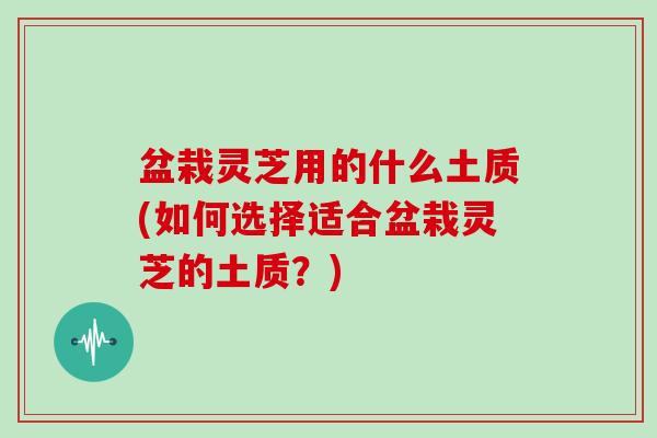 盆栽灵芝用的什么土质(如何选择适合盆栽灵芝的土质?) 盆栽灵芝用的什么土质(如何选择适合盆栽灵芝的土质?)