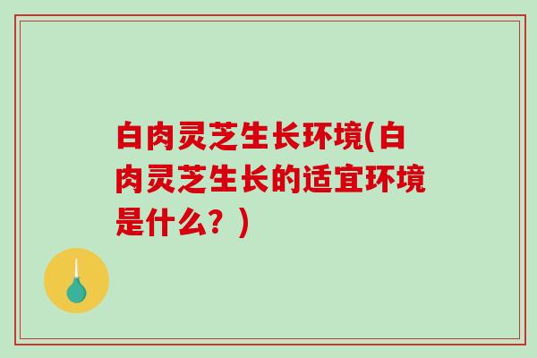 白肉灵芝生长环境(白肉灵芝生长的适宜环境是什么？)