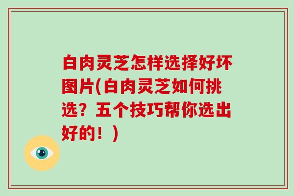 白肉灵芝怎样选择好坏图片(白肉灵芝如何挑选？五个技巧帮你选出好的！)
