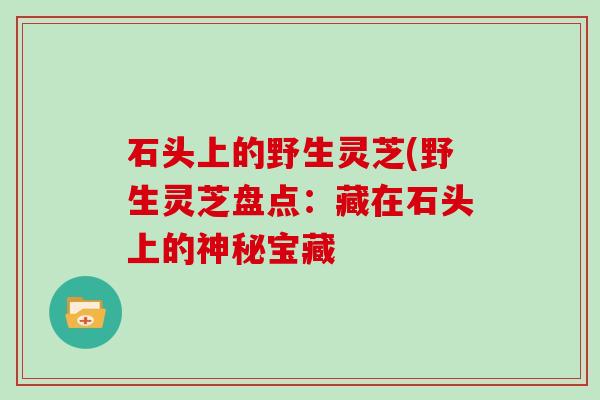 石头上的野生灵芝(野生灵芝盘点:藏在石头上的神秘宝藏 石头上的野生灵芝(野生灵芝盘点:藏在石头上的神秘宝藏