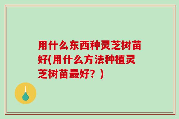用什么东西种灵芝树苗好(用什么方法种植灵芝树苗好?) 用什么东西种灵芝树苗好(用什么方法种植灵芝树苗好?)