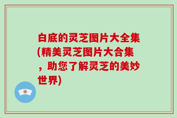 白底的灵芝图片大全集(精美灵芝图片大合集，助您了解灵芝的美妙世界)
