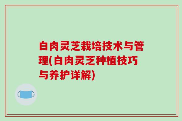 白肉灵芝栽培技术与管理(白肉灵芝种植技巧与养护详解) 白肉灵芝栽培技术与管理(白肉灵芝种植技巧与养护详解)