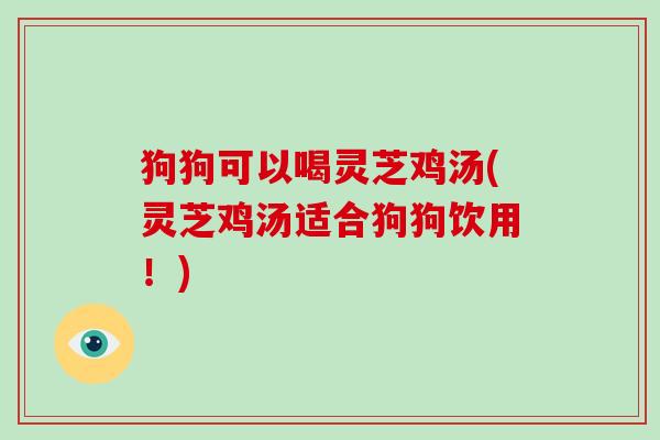 狗狗可以喝灵芝鸡汤(灵芝鸡汤适合狗狗饮用!) 狗狗可以喝灵芝鸡汤(灵芝鸡汤适合狗狗饮用!)