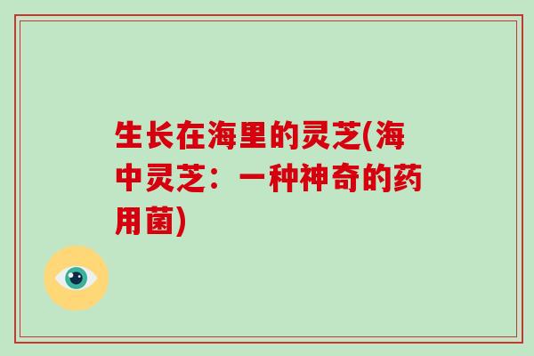 生长在海里的灵芝(海中灵芝:一种神奇的药用菌) 生长在海里的灵芝(海中灵芝:一种神奇的药用菌)