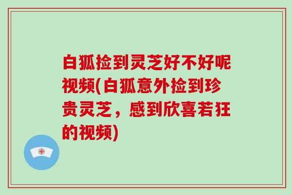 白狐捡到灵芝好不好呢视频(白狐意外捡到珍贵灵芝,感到欣喜若狂的视频) 白狐捡到灵芝好不好呢视频(白狐意外捡到珍贵灵芝,感到欣喜若狂的视频)