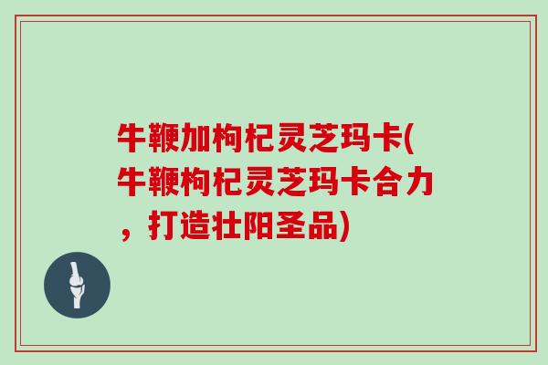 牛鞭加枸杞灵芝玛卡(牛鞭枸杞灵芝玛卡合力，打造壮阳圣品)