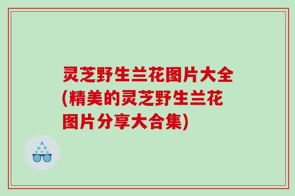 灵芝野生兰花图片大全(精美的灵芝野生兰花图片分享大合集) 灵芝野生兰花图片大全(精美的灵芝野生兰花图片分享大合集)