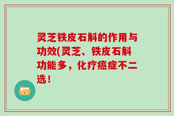 灵芝铁皮石斛的作用与功效(灵芝、铁皮石斛功能多,症不二选! 灵芝铁皮石斛的作用与功效(灵芝、铁皮石斛功能多,症不二选!