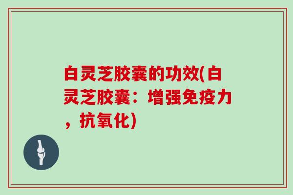 白灵芝胶囊的功效(白灵芝胶囊:增强免疫力,) 白灵芝胶囊的功效(白灵芝胶囊:增强免疫力,)
