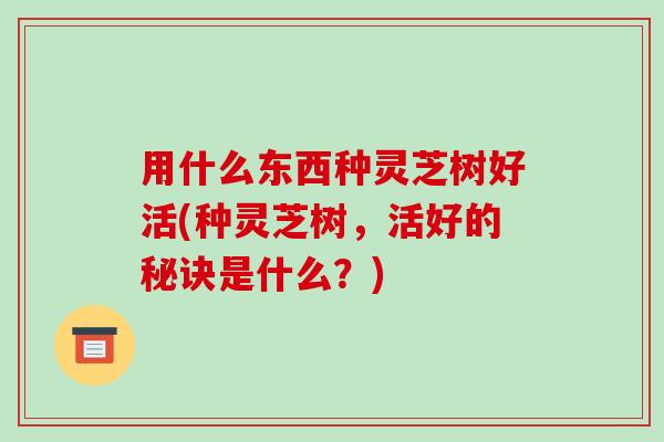 用什么东西种灵芝树好活(种灵芝树,活好的秘诀是什么?) 用什么东西种灵芝树好活(种灵芝树,活好的秘诀是什么?)