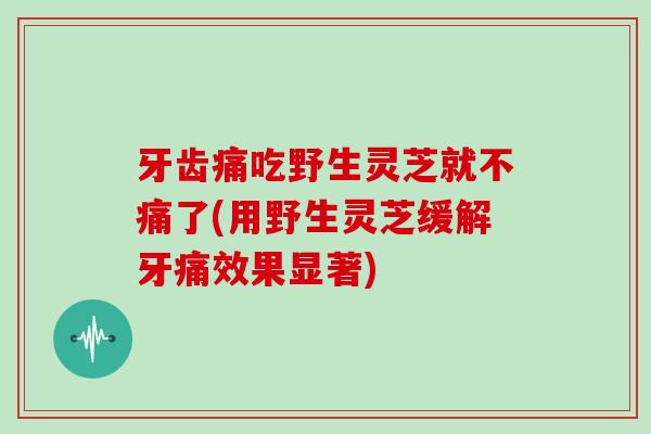 牙齿痛吃野生灵芝就不痛了(用野生灵芝缓解牙痛效果显著) 牙齿痛吃野生灵芝就不痛了(用野生灵芝缓解牙痛效果显著)