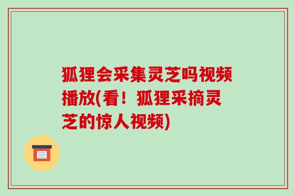 狐狸会采集灵芝吗视频播放(看!狐狸采摘灵芝的惊人视频) 狐狸会采集灵芝吗视频播放(看!狐狸采摘灵芝的惊人视频)