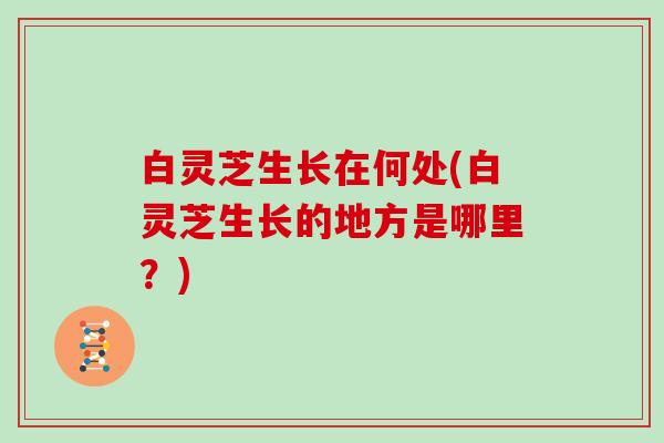 白灵芝生长在何处(白灵芝生长的地方是哪里?) 白灵芝生长在何处(白灵芝生长的地方是哪里?)