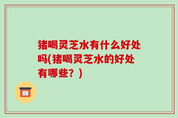 猪喝灵芝水有什么好处吗(猪喝灵芝水的好处有哪些?) 猪喝灵芝水有什么好处吗(猪喝灵芝水的好处有哪些?)