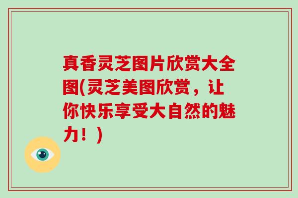 真香灵芝图片欣赏大全图(灵芝美图欣赏,让你快乐享受大自然的魅力!) 真香灵芝图片欣赏大全图(灵芝美图欣赏,让你快乐享受大自然的魅力!)