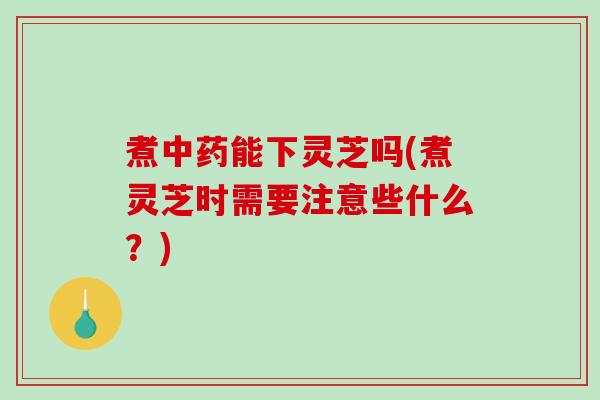 煮能下灵芝吗(煮灵芝时需要注意些什么？)