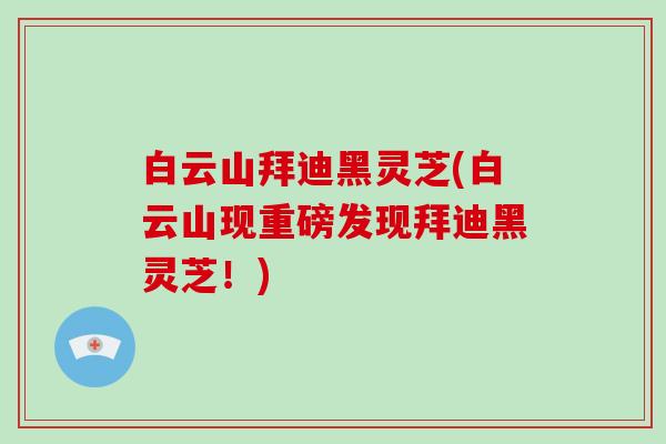 白云山拜迪黑灵芝(白云山现重磅发现拜迪黑灵芝！)