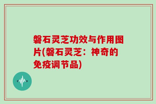 磐石灵芝功效与作用图片(磐石灵芝：神奇的免疫调节品)