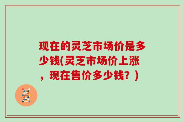 现在的灵芝市场价是多少钱(灵芝市场价上涨，现在售价多少钱？)