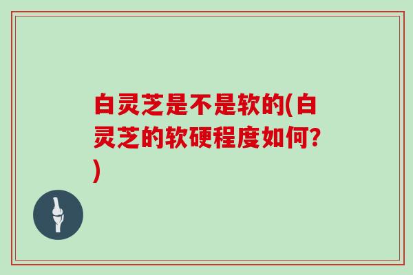 白灵芝是不是软的(白灵芝的软硬程度如何？)