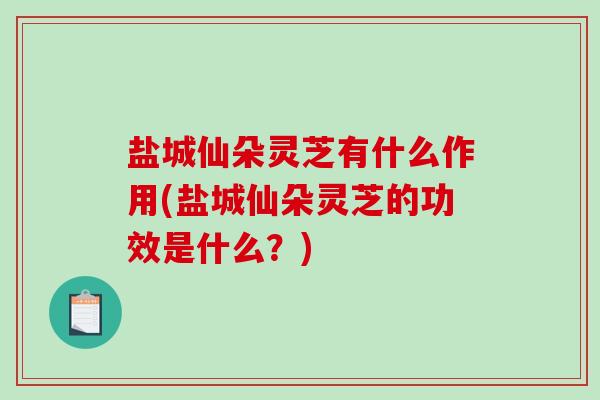 盐城仙朵灵芝有什么作用(盐城仙朵灵芝的功效是什么？)