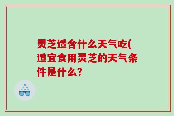 灵芝适合什么天气吃(适宜食用灵芝的天气条件是什么？