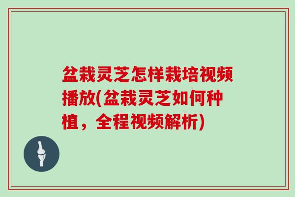 盆栽灵芝怎样栽培视频播放(盆栽灵芝如何种植，全程视频解析)