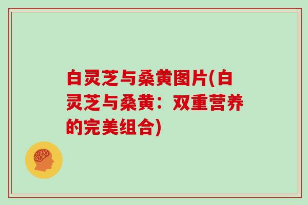 白灵芝与桑黄图片(白灵芝与桑黄：双重营养的完美组合)